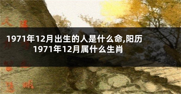 1971年12月出生的人是什么命,阳历1971年12月属什么生肖