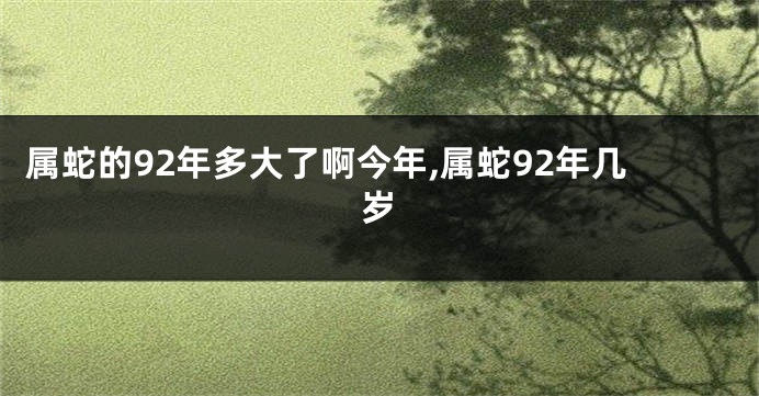 属蛇的92年多大了啊今年,属蛇92年几岁