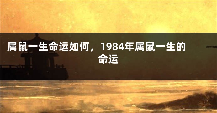 属鼠一生命运如何，1984年属鼠一生的命运