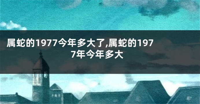 属蛇的1977今年多大了,属蛇的1977年今年多大