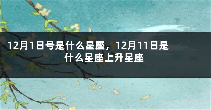 12月1日号是什么星座，12月11日是什么星座上升星座