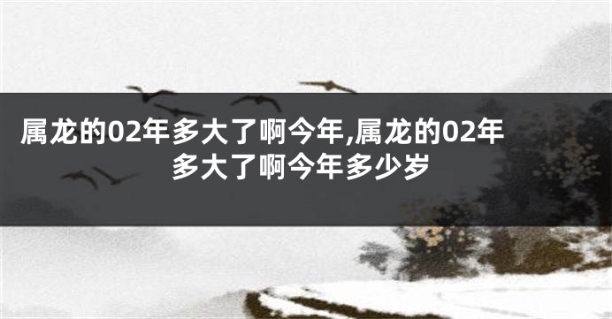 属龙的02年多大了啊今年,属龙的02年多大了啊今年多少岁