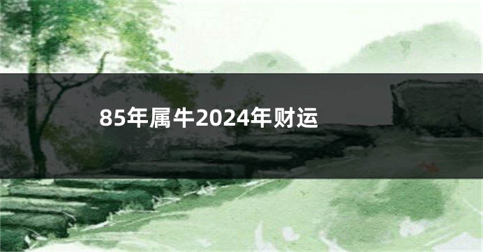 85年属牛2024年财运