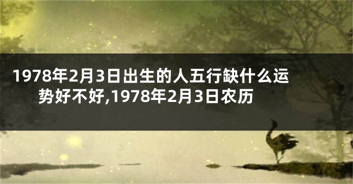 1978年2月3日出生的人五行缺什么运势好不好,1978年2月3日农历