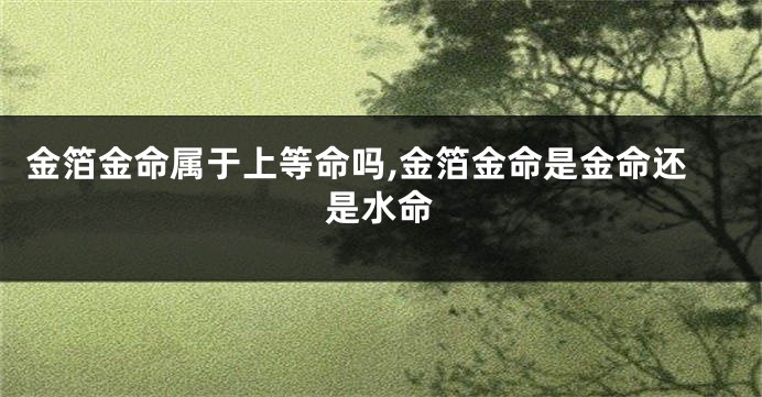 金箔金命属于上等命吗,金箔金命是金命还是水命