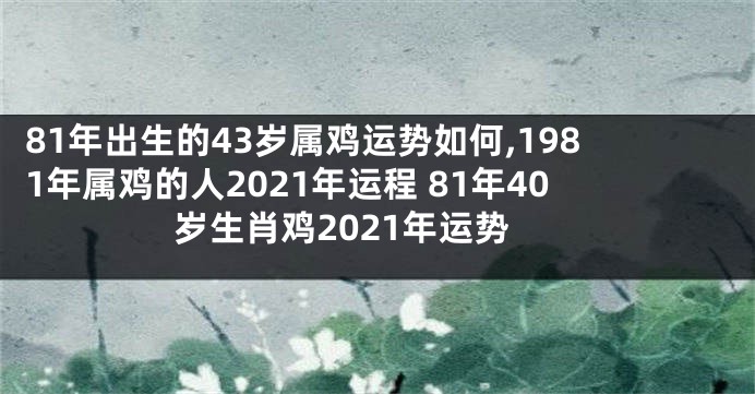 81年出生的43岁属鸡运势如何,1981年属鸡的人2021年运程 81年40岁生肖鸡2021年运势