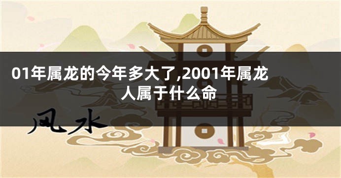 01年属龙的今年多大了,2001年属龙人属于什么命