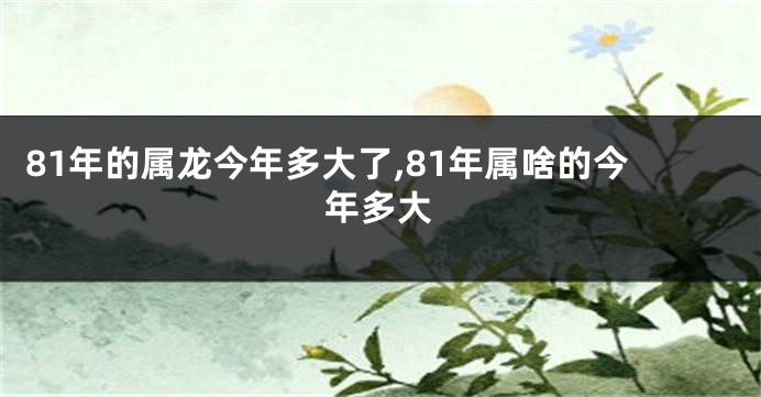 81年的属龙今年多大了,81年属啥的今年多大