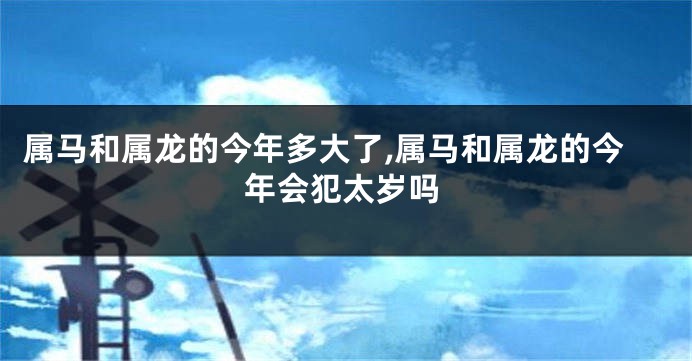 属马和属龙的今年多大了,属马和属龙的今年会犯太岁吗