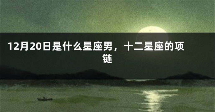 12月20日是什么星座男，十二星座的项链