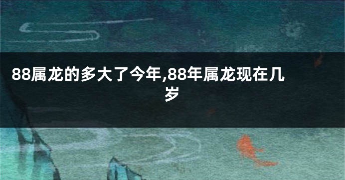 88属龙的多大了今年,88年属龙现在几岁