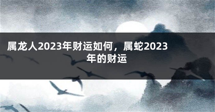 属龙人2023年财运如何，属蛇2023年的财运