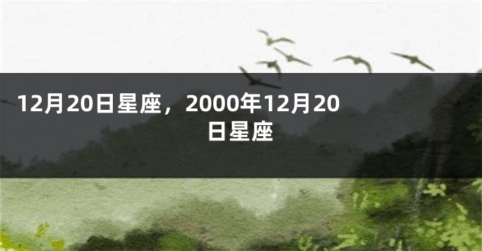 12月20日星座，2000年12月20日星座