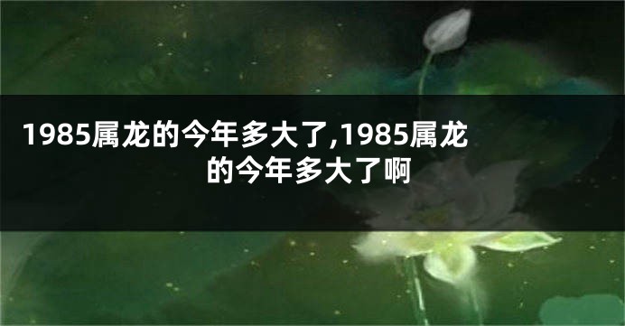 1985属龙的今年多大了,1985属龙的今年多大了啊