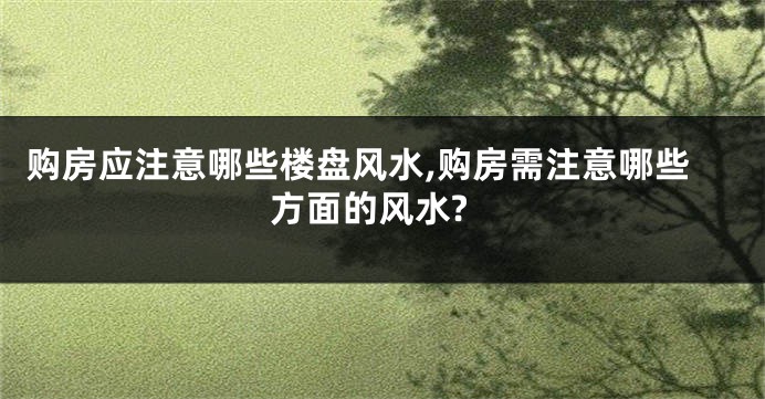 购房应注意哪些楼盘风水,购房需注意哪些方面的风水?