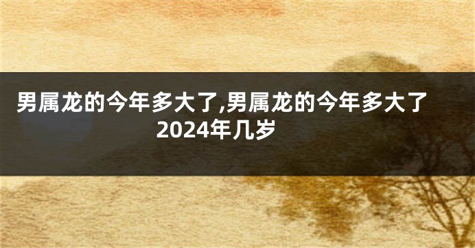 男属龙的今年多大了,男属龙的今年多大了2024年几岁