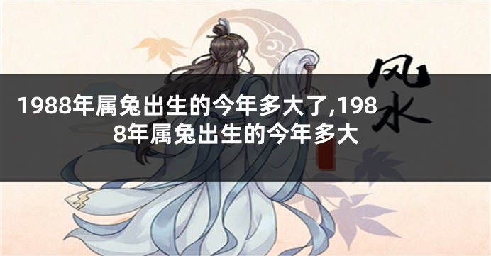 1988年属兔出生的今年多大了,1988年属兔出生的今年多大