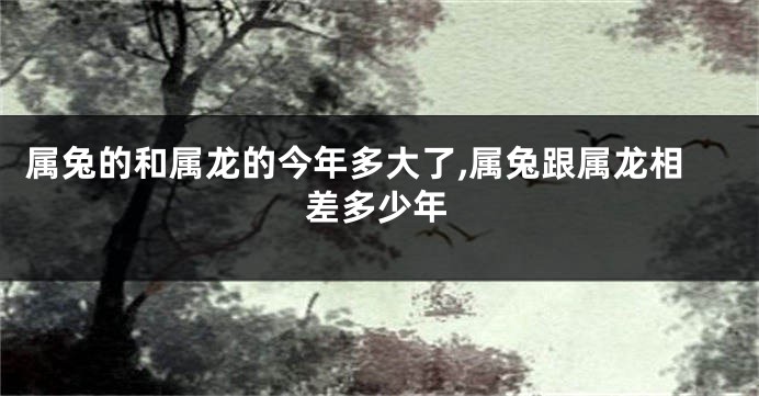 属兔的和属龙的今年多大了,属兔跟属龙相差多少年