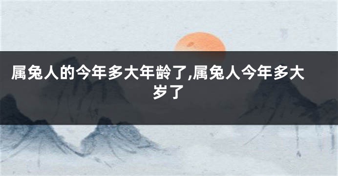 属兔人的今年多大年龄了,属兔人今年多大岁了