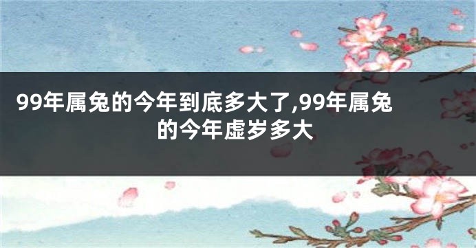 99年属兔的今年到底多大了,99年属兔的今年虚岁多大