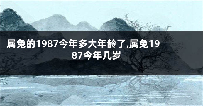 属兔的1987今年多大年龄了,属兔1987今年几岁