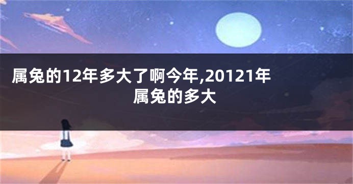 属兔的12年多大了啊今年,20121年属兔的多大