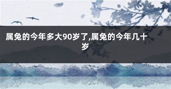 属兔的今年多大90岁了,属兔的今年几十岁