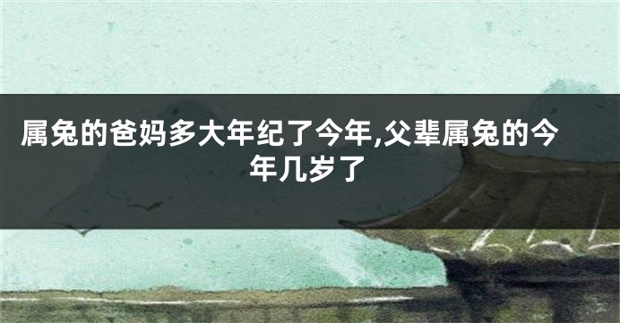 属兔的爸妈多大年纪了今年,父辈属兔的今年几岁了