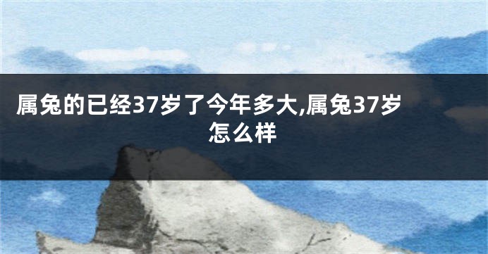 属兔的已经37岁了今年多大,属兔37岁怎么样