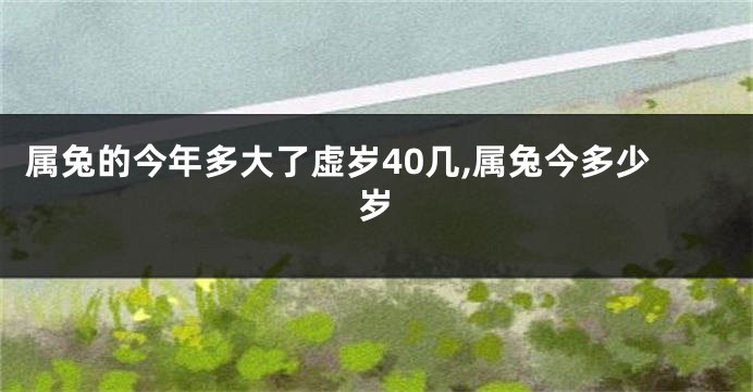 属兔的今年多大了虚岁40几,属兔今多少岁