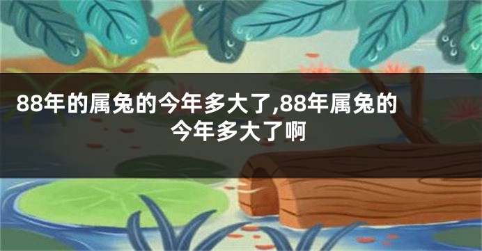 88年的属兔的今年多大了,88年属兔的今年多大了啊