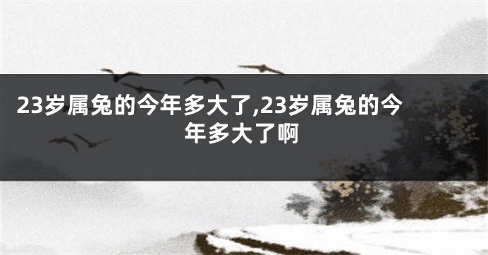 23岁属兔的今年多大了,23岁属兔的今年多大了啊