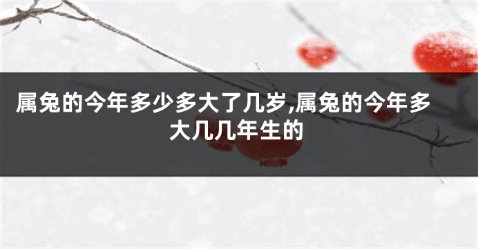 属兔的今年多少多大了几岁,属兔的今年多大几几年生的