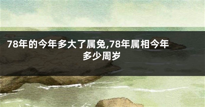 78年的今年多大了属兔,78年属相今年多少周岁