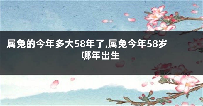 属兔的今年多大58年了,属兔今年58岁哪年出生