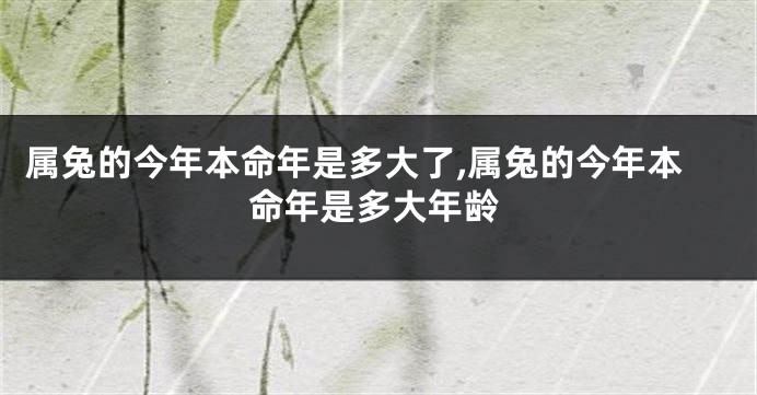 属兔的今年本命年是多大了,属兔的今年本命年是多大年龄