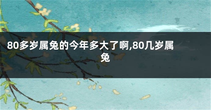 80多岁属兔的今年多大了啊,80几岁属兔