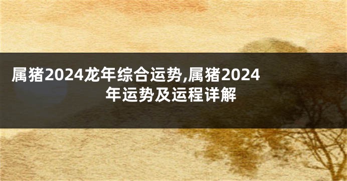 属猪2024龙年综合运势,属猪2024年运势及运程详解