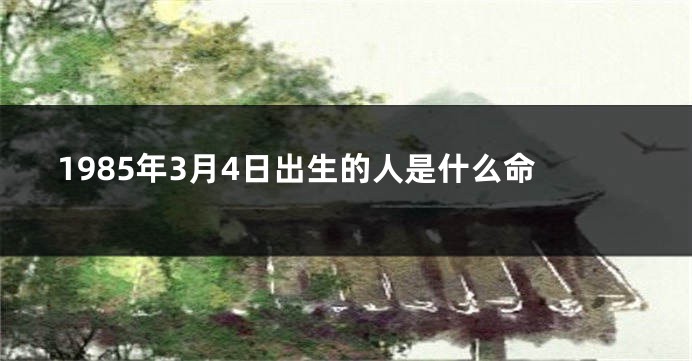 1985年3月4日出生的人是什么命