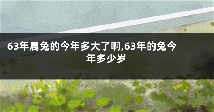 63年属兔的今年多大了啊,63年的兔今年多少岁