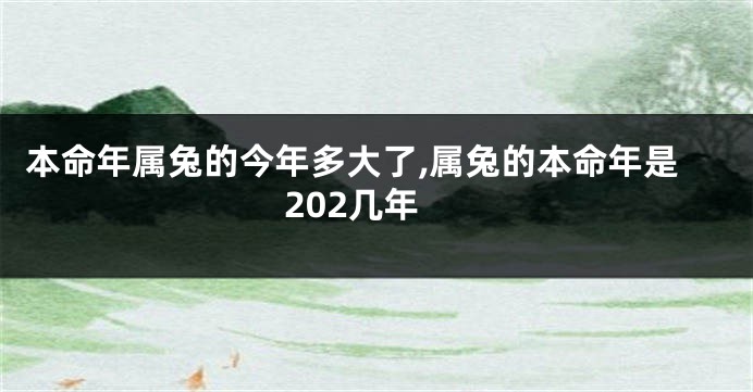 本命年属兔的今年多大了,属兔的本命年是202几年