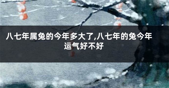 八七年属兔的今年多大了,八七年的兔今年运气好不好