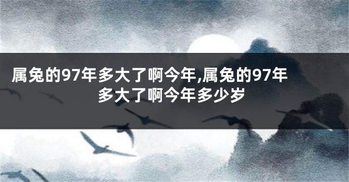 属兔的97年多大了啊今年,属兔的97年多大了啊今年多少岁