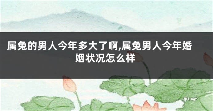 属兔的男人今年多大了啊,属兔男人今年婚姻状况怎么样