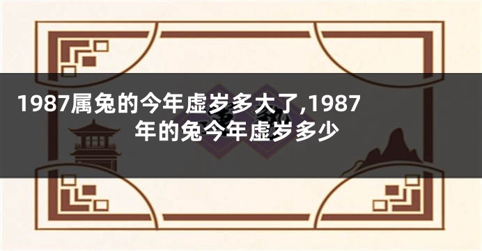 1987属兔的今年虚岁多大了,1987年的兔今年虚岁多少