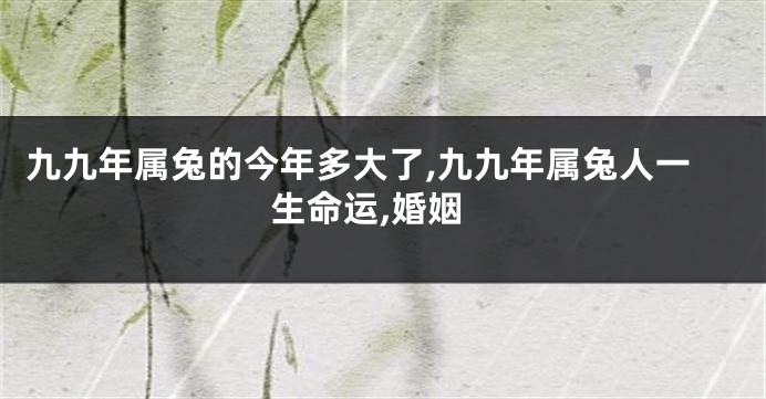 九九年属兔的今年多大了,九九年属兔人一生命运,婚姻