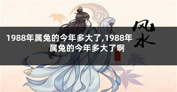 1988年属兔的今年多大了,1988年属兔的今年多大了啊