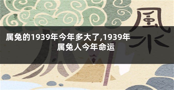 属兔的1939年今年多大了,1939年属兔人今年命运