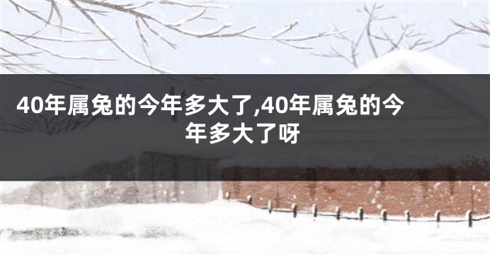 40年属兔的今年多大了,40年属兔的今年多大了呀