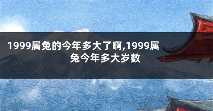 1999属兔的今年多大了啊,1999属兔今年多大岁数